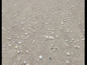 ground terrain beach pbr pack 2 texture CG Textures