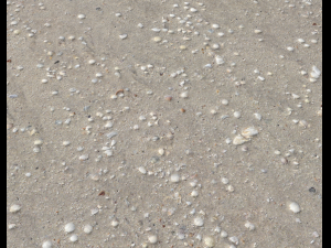 ground terrain beach pbr pack 2 texture CG Textures