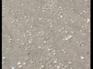 ground terrain beach pbr pack 2 texture CG Textures