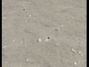 ground terrain beach pbr pack 2 texture CG Textures
