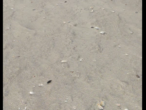 ground terrain beach pbr pack 2 texture CG Textures