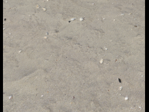 ground terrain beach pbr pack 2 texture CG Textures