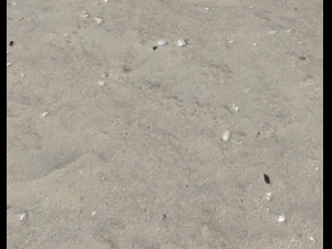 ground terrain beach pbr pack 2 texture CG Textures