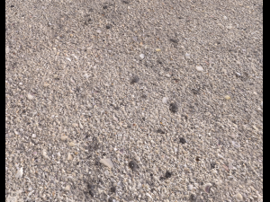 ground terrain beach pbr pack 2 texture CG Textures