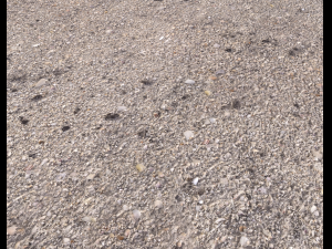 ground terrain beach pbr pack 2 texture CG Textures