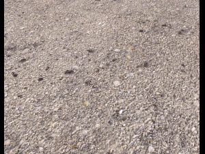 ground terrain beach pbr pack 2 texture CG Textures