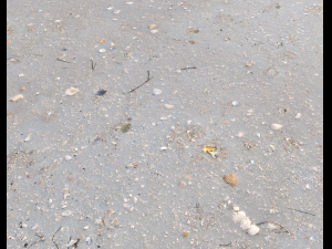 ground terrain beach pbr pack 3 texture CG Textures