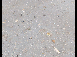 texture terreno terreno spiaggia pbr pack 3 CG Textures