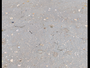 ground terrain beach pbr pack 3 texture Texturas CG