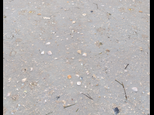 ground terrain beach pbr pack 3 texture Texturas CG