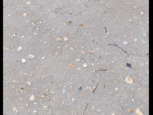 ground terrain beach pbr pack 3 texture Texturas CG