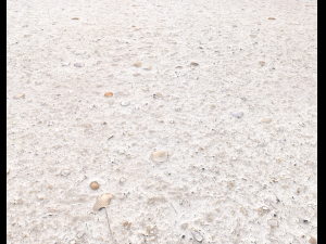 ground terrain beach pbr pack 3 texture Texturas CG