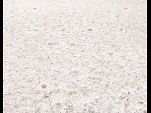 ground terrain beach pbr pack 3 texture CG Textures