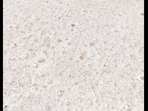 ground terrain beach pbr pack 3 texture Texturas CG