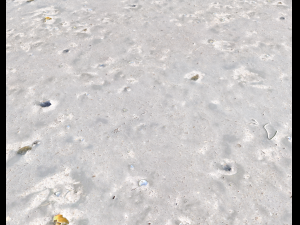 ground terrain beach pbr pack 3 texture Texturas CG