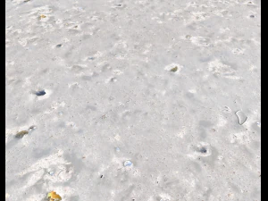 ground terrain beach pbr pack 3 texture CG Textures
