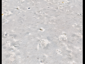 ground terrain beach pbr pack 3 texture Texturas CG