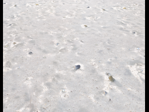 ground terrain beach pbr pack 3 texture Texturas CG