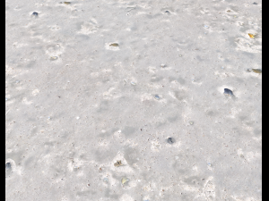 ground terrain beach pbr pack 3 texture Texturas CG