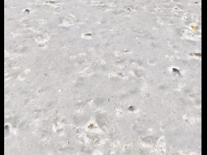 ground terrain beach pbr pack 3 texture CG Textures