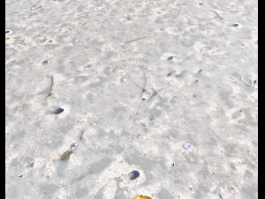 ground terrain beach pbr pack 3 texture Texturas CG