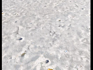 ground terrain beach pbr pack 3 texture CG Textures