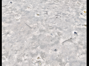 ground terrain beach pbr pack 3 texture Texturas CG