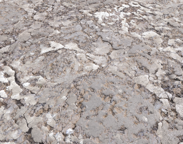 desert wasteland ground pbr pack 2 texture CG Dokuları .c4d .max .obj .3ds .fbx .stl .blend 