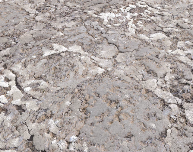 desert wasteland ground pbr pack 2 texture CG Textures .c4d .max .obj .3ds .fbx .stl .blend 