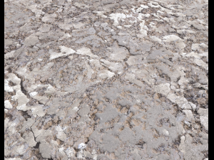 desert wasteland ground pbr pack 2 texture CG Textures
