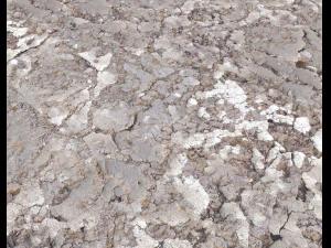 desert wasteland ground pbr pack 2 texture CG Textures