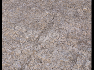 desert wasteland ground pbr pack 2 texture CG Dokuları