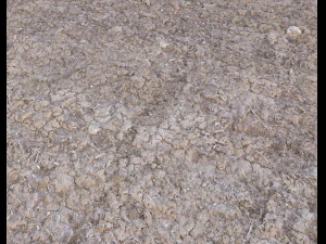 desert wasteland ground pbr pack 2 texture CG Textures