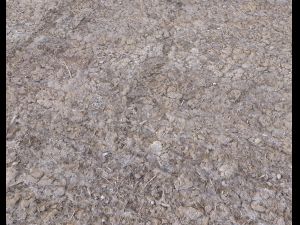 desert wasteland ground pbr pack 2 texture CG Dokuları