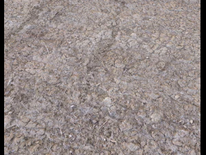 desert wasteland ground pbr pack 2 texture CG Textures