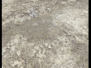 desert wasteland ground pbr pack 2 texture CG Dokuları