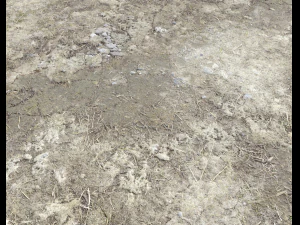 desert wasteland ground pbr pack 2 texture CG Textures