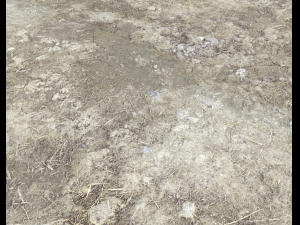 desert wasteland ground pbr pack 2 texture CG Dokuları