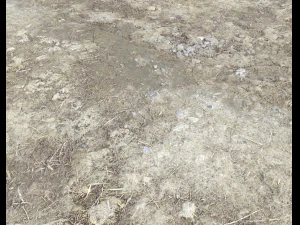 desert wasteland ground pbr pack 2 texture CG Textures