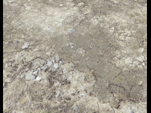 desert wasteland ground pbr pack 2 texture CG Dokuları