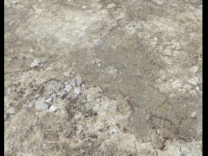 desert wasteland ground pbr pack 2 texture CG Textures