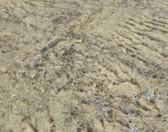 desert wasteland ground pbr pack 3 CG Текстури .c4d .max .obj .3ds .fbx .stl .blend 