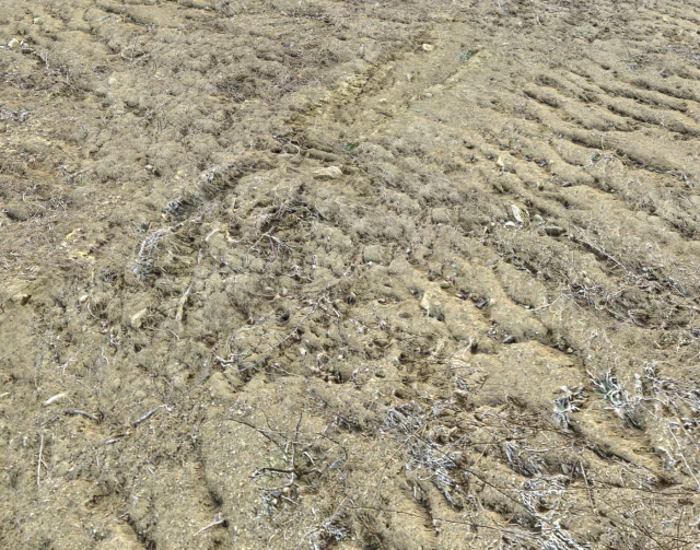 desert wasteland ground pbr pack 3 CG Textures .c4d .max .obj .3ds .fbx .stl .blend 