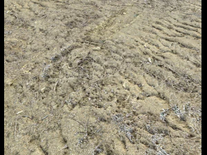 deserto terreno baldio pbr pacote 3 Texturas CG