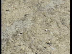 desert wasteland ground pbr pack 3 CG Текстури
