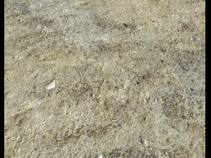 desert wasteland ground pbr pack 3 CG Текстури