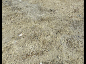 desert wasteland ground pbr pack 3 CG Textures