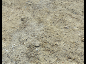 desert wasteland ground pbr pack 3 CG Текстури