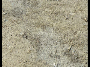 desert wasteland ground pbr pack 3 CG Textures