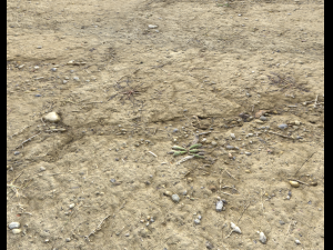 desert wasteland ground pbr pack 3 CG Текстури